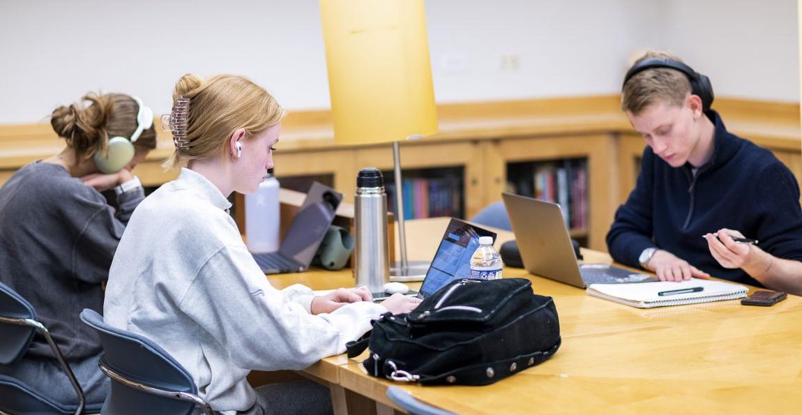 Students study and work on assignments in the library.